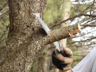 Making the final cut using the three-cut method with a handsaw.