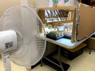 Fans cause plants to sway, beginning their hardening off phase. Zack Snipes, ©2020, Clemson Extension