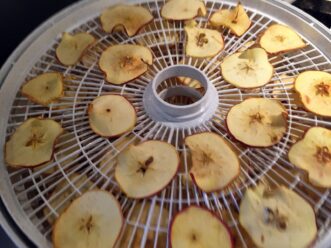 Apples during hydration.