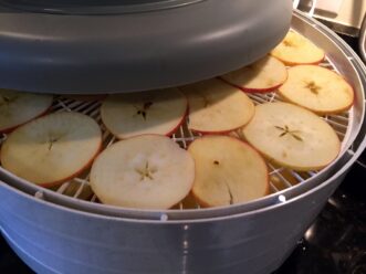 Apples loaded in a dehydrator.