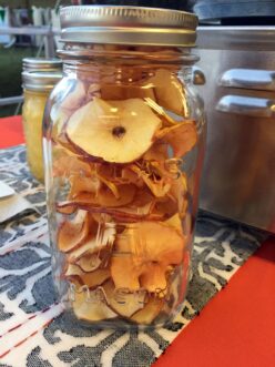 Final product, dehydrated apples!