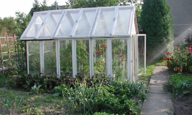 Greenshouse By Jürgi-würgi - Own work, Public Domain, https://commons.wikimedia.org/w/index.php?curid=3713538