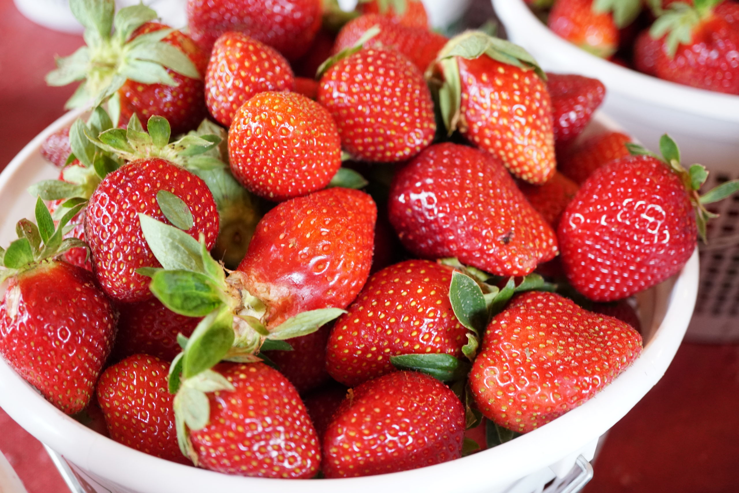 Growing Strawberries | Home & Garden Information Center