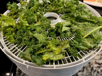 Preparing kale for dehydrating.