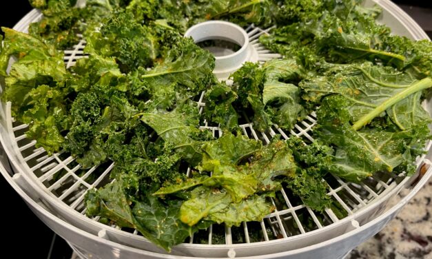 Drying Foods