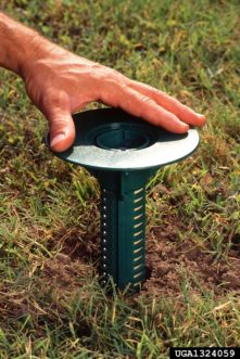 Example of inground Termite control ©Scott Bauer, USDA Agricultural Research Service, Bugwood.org