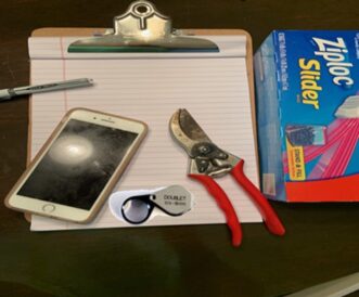 Essential tools for scouting are pens, paper, pruners, and zip-top bags.