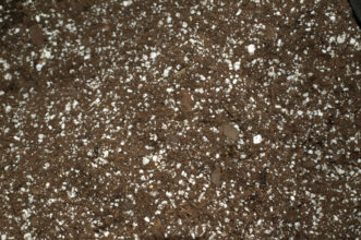Most commercially prepared mixes are “soilless” or “artificial,” which means they contain no soil.