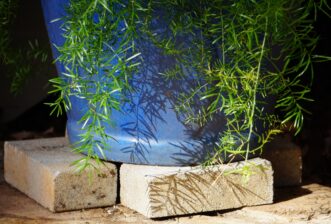 Use four small concrete blocks or bricks to elevate the container off the ground. Make sure the container drain holes are not blocked.
