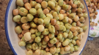 Shelled Southern peas.