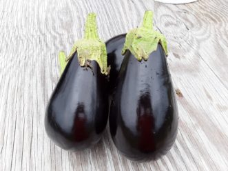 Traditional Italian type eggplants are purple-black, glossy, and oval-shaped. Justin Ballew, ©2020, Clemson Extension