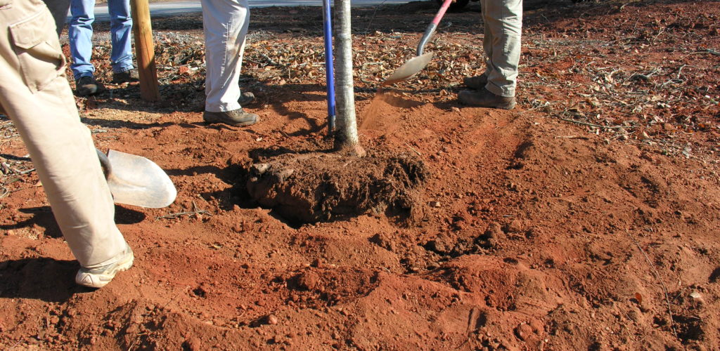 The backfill soil is used to fill the hole.