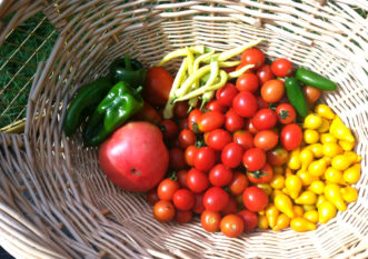 Garden Vegetables Millie Davenport, ©2015 HGIC, Clemson Extension