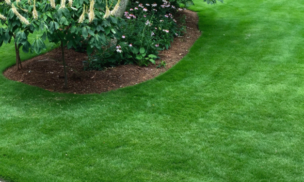 Fertilizing Lawns