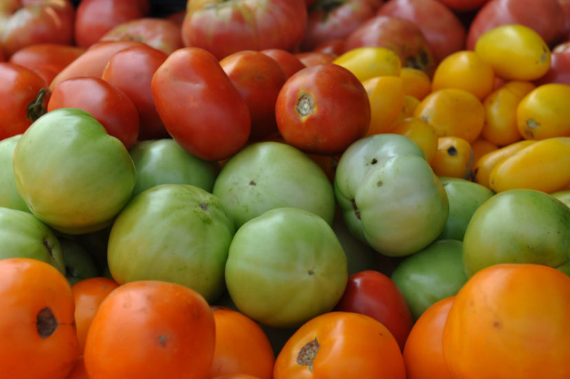 Assortment Tomatoes Usda 828x550 