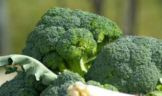 If you take your child to the grocery store, involve them in selecting vegetables. You might say, which broccoli is prettier? Let’s buy that one, then!