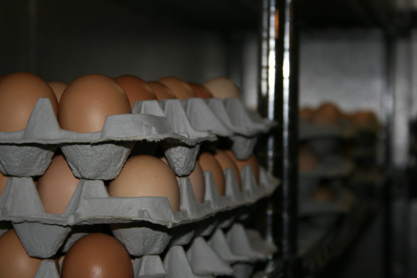 safe-handling-of-eggs-home-garden-information-center