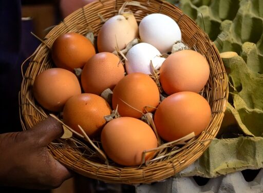 Safe Handling of Eggs