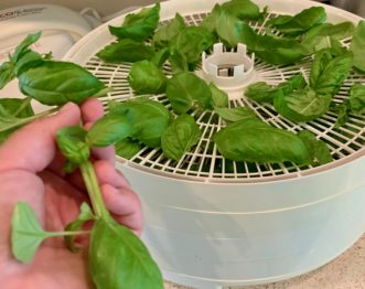 When dehydrating herbs in a dehydrator, place the herbs in a single layer on trays.