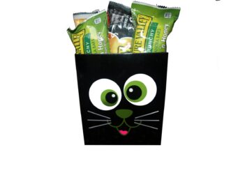 “Healthy Halloween treats arranged in festive trick-or-treat bag.”