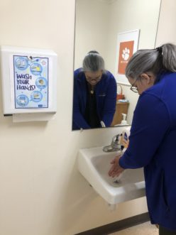 Washing your hands in a downward motion with warm running water and soap for at least 20 seconds is recommended to prevent the spread of germs. Michelle Altman, ©2021 Clemson Extension