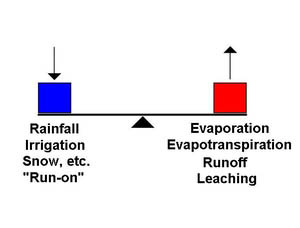 Landscape Irrigation Management Part 1: Water in the Landscape