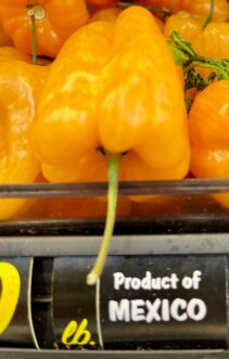 Large grocery stores that sell produce in bulk bins should have the country of origin displayed.