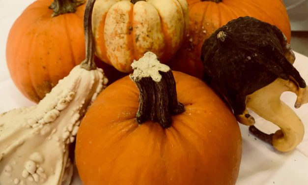 Preserving Pumpkin & Winter Squash