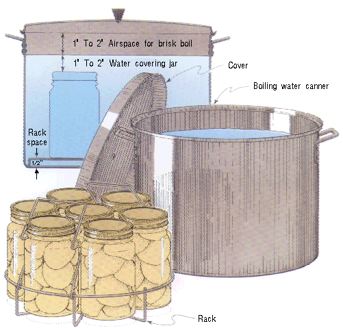 Y:CAFLSHGICDatacascade1_wordwordpress images3025water_bath_canner.gif