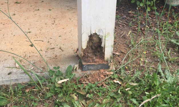 Subterranean Termite Control