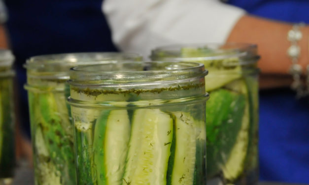 Pickle Basics