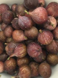 Fresh Figs can be frozen, dried or canned to extend storage time.
