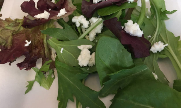 Safe Handling of Lettuce & Leafy Green Salads