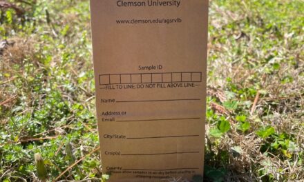 How to Change Soil pH in South Carolina