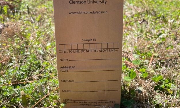 How to Change Soil pH in South Carolina