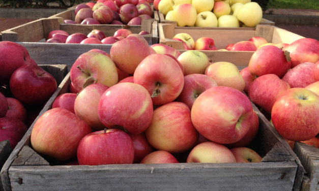 Preserving Apples