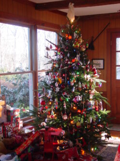 Following proper safety precautions on your tree will ensure a safe Christmas season.