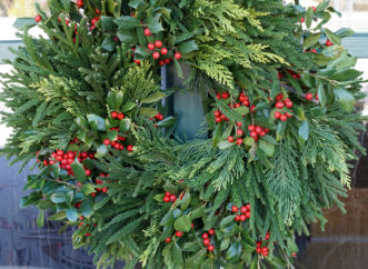 A combination of arborvitae, holly, and cryptomeria creates a colorful wreath with foliage textures and bright red berries.