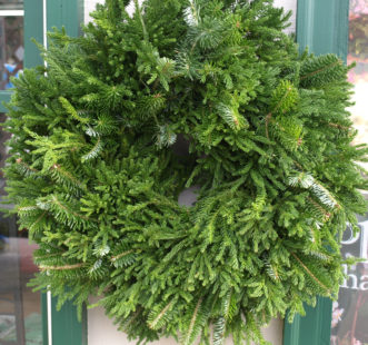 The textures of cryptomeria and Frasier fir foliage may be used to create a beautiful wreath.