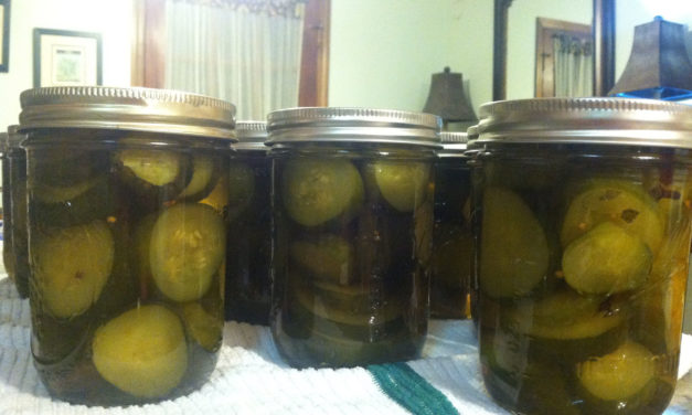 Pickled Cucumbers