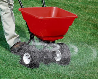 Applying the recommended fertilizers during the turfgrass growing season should keep the potassium levels sufficiently high to protect the lawn from cold injury.