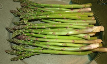 Asparagus
