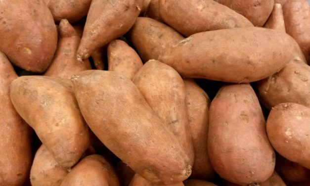 Sweetpotato