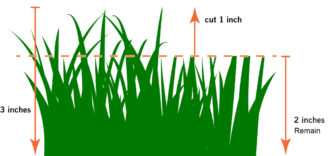 Figure 1: Grass height diagram