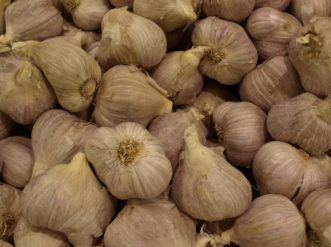 Garlic (Allium sativum) differs from onion in that its bulb is composed of about 10 cloves arranged inside a papery bulb cover.