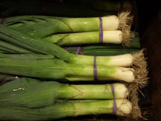 Leeks look much like a very large, thick green onion.