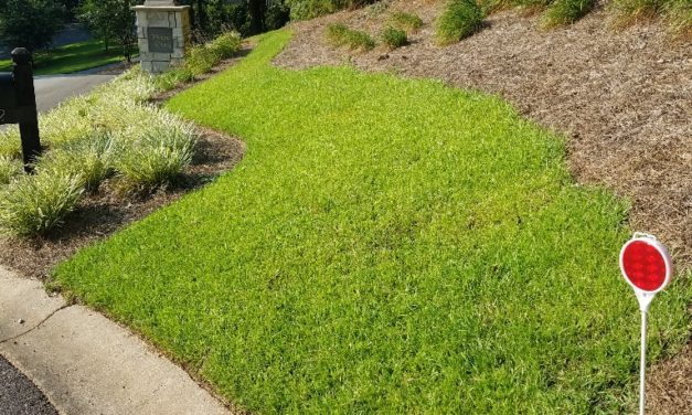 Measuring the Area of a Home Lawn
