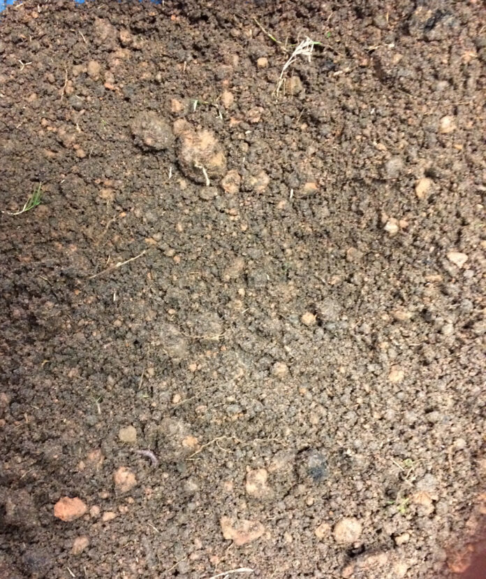 The ideal soil texture is loamy soil, a balanced mixture of sand, silt, and clay particles.