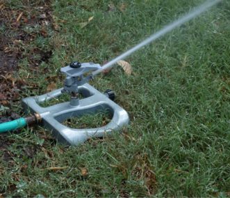 Turf grass should be irrigated when it shows signs of moisture stress.