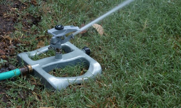 Conservative Turfgrass Irrigation